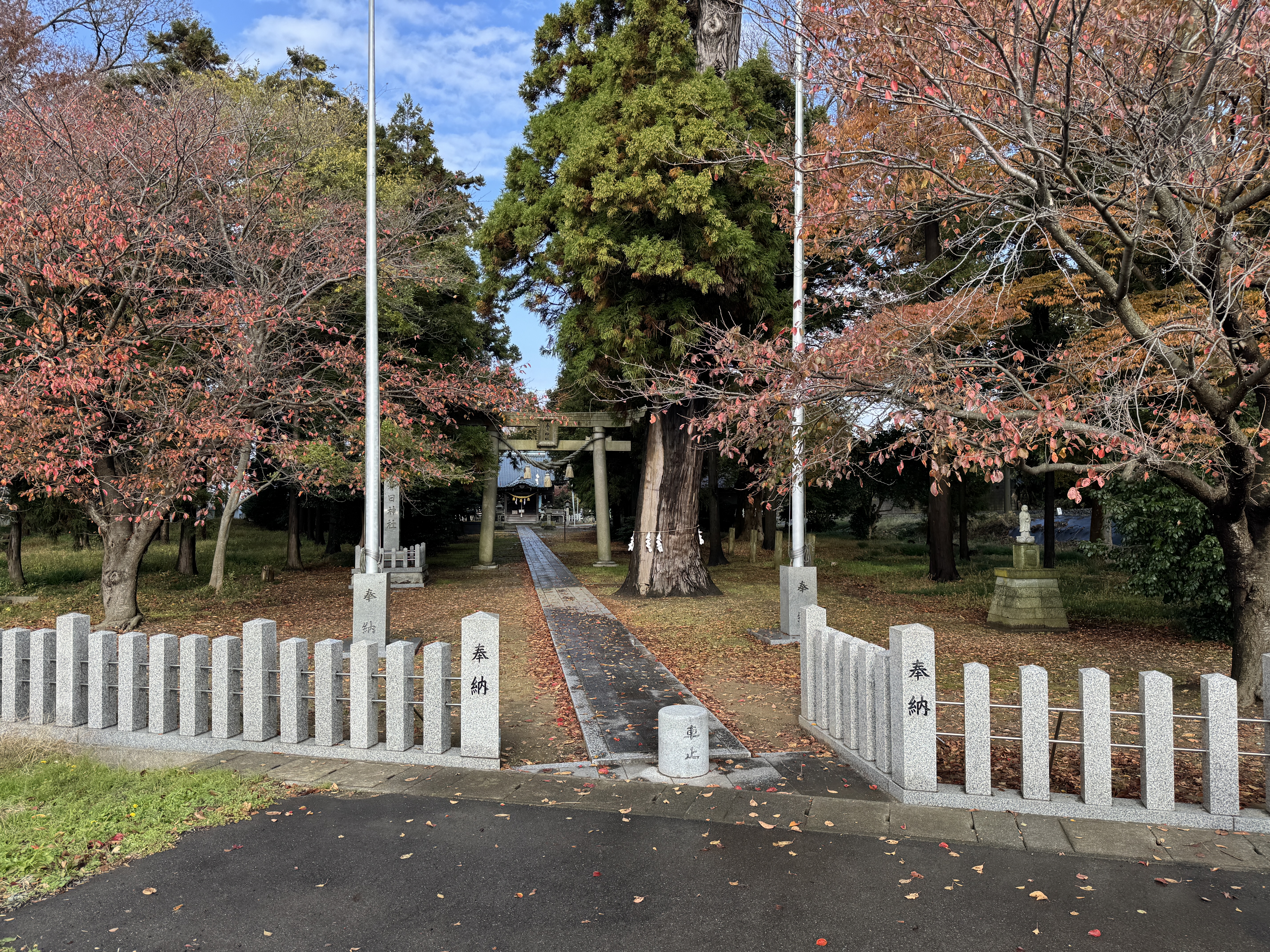 こうふくロードの写真